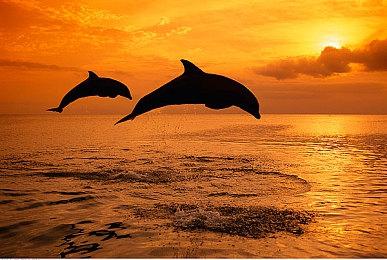 休闲动作冒险解谜游戏《不同的星球》现已推出试玩Demo 2025年4月24日正式发售