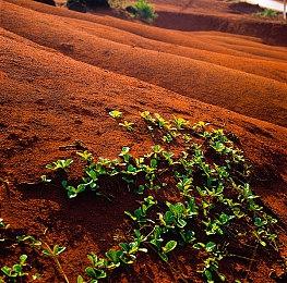 GameStop暗示《真人快打1》还将登陆PS4